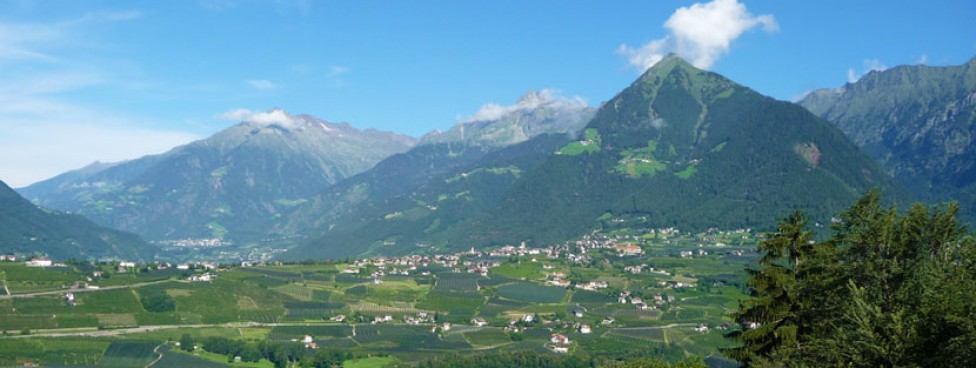 Alpen panorama